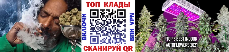 Магазины продажи наркотиков Юрьев-Польский Гашиш  ОМГ ОМГ рабочий сайт  Меф  Кокаин  СОЛЬ 