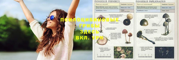 герыч Верхний Тагил