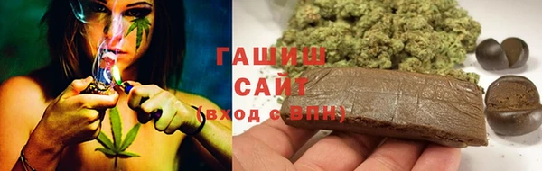 сатива Верея