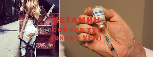 сатива Верея