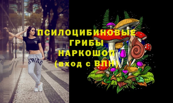 герыч Верхний Тагил