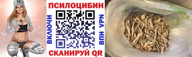 Галлюциногенные грибы прущие грибы  купить наркотик  Юрьев-Польский 